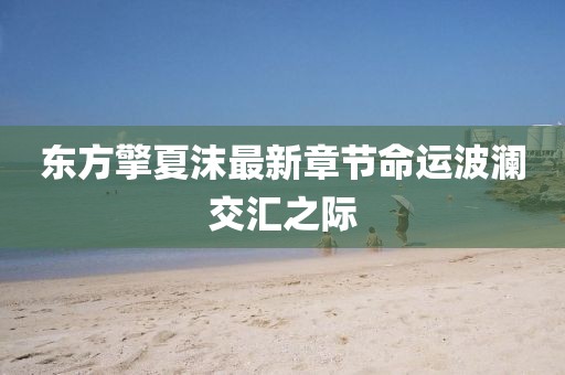東方擎夏沫最新章節(jié)命運波瀾交匯之際