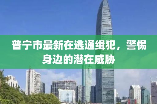 普寧市最新在逃通緝犯，警惕身邊的潛在威脅