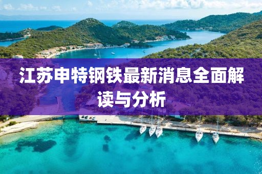 江蘇申特鋼鐵最新消息全面解讀與分析