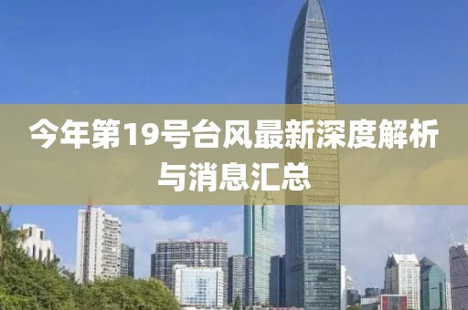 今年第19號臺風(fēng)最新深度解析與消息匯總