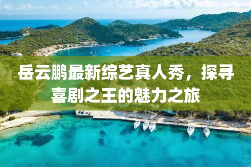岳云鵬最新綜藝真人秀，探尋喜劇之王的魅力之旅
