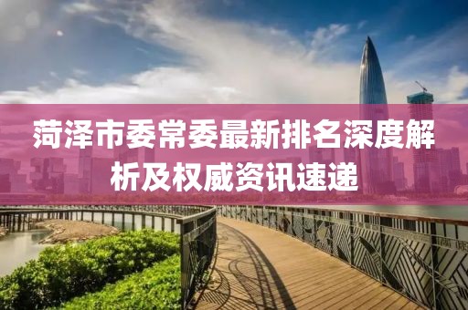 菏澤市委常委最新排名深度解析及權(quán)威資訊速遞