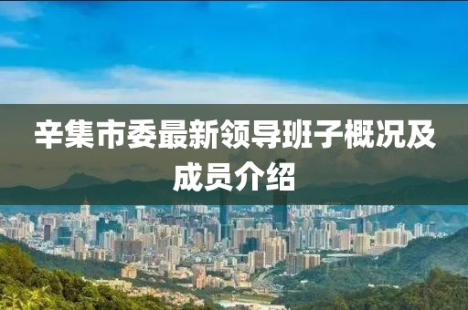 辛集市委最新領(lǐng)導(dǎo)班子概況及成員介紹