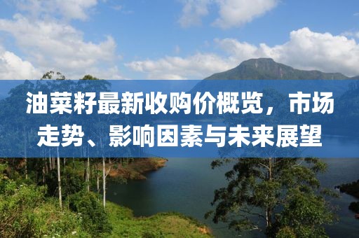油菜籽最新收購價概覽，市場走勢、影響因素與未來展望