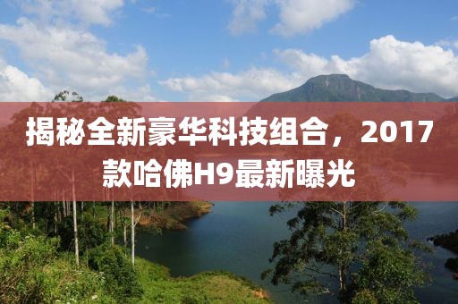 揭秘全新豪華科技組合，2017款哈佛H9最新曝光