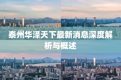 泰州華澤天下最新消息深度解析與概述