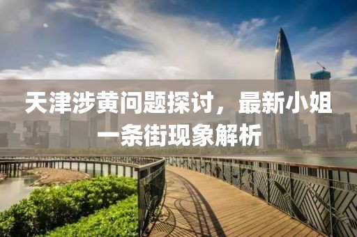 天津涉黃問(wèn)題探討，最新小姐一條街現(xiàn)象解析