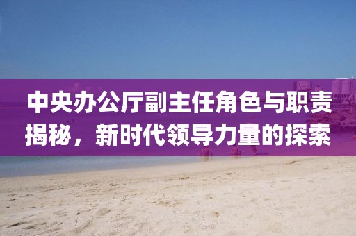 中央辦公廳副主任角色與職責揭秘，新時代領導力量的探索