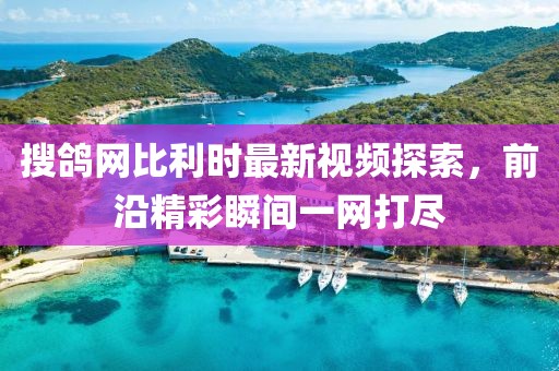 搜鴿網(wǎng)比利時最新視頻探索，前沿精彩瞬間一網(wǎng)打盡