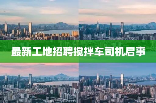 一枕庭前雪 第13頁
