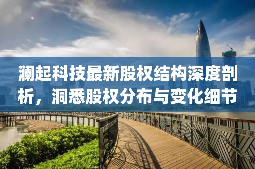 瀾起科技最新股權(quán)結(jié)構(gòu)深度剖析，洞悉股權(quán)分布與變化細(xì)節(jié)