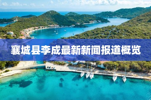 襄城縣李成最新新聞報道概覽