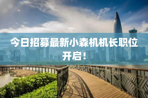 今日招募最新小森機(jī)機(jī)長(zhǎng)職位開啟！