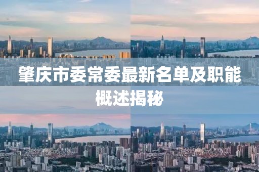 肇慶市委常委最新名單及職能概述揭秘