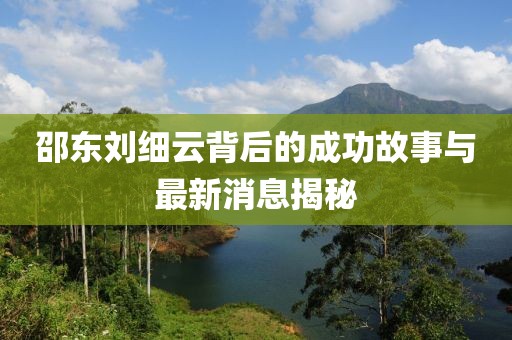 邵東劉細(xì)云背后的成功故事與最新消息揭秘