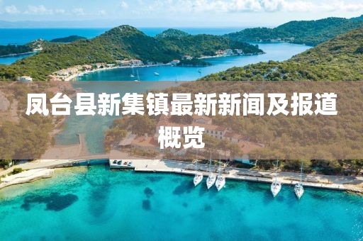 鳳臺縣新集鎮(zhèn)最新新聞及報道概覽
