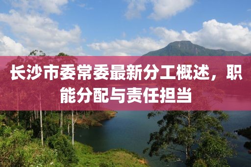 長(zhǎng)沙市委常委最新分工概述，職能分配與責(zé)任擔(dān)當(dāng)