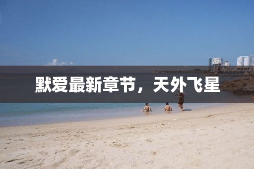 默愛(ài)最新章節(jié)，天外飛星