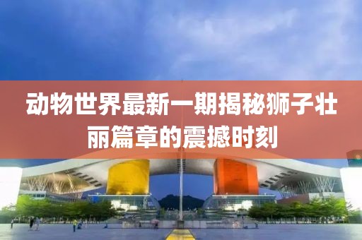 動物世界最新一期揭秘獅子壯麗篇章的震撼時刻