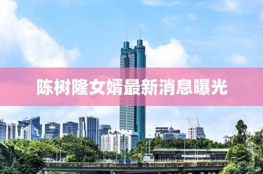 陳樹隆女婿最新消息曝光