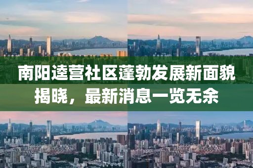 南陽逵營社區(qū)蓬勃發(fā)展新面貌揭曉，最新消息一覽無余