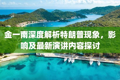 金一南深度解析特朗普現(xiàn)象，影響及最新演講內(nèi)容探討
