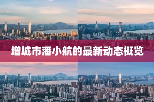 增城市潘小航的最新動(dòng)態(tài)概覽