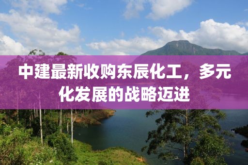 中建最新收購東辰化工，多元化發(fā)展的戰(zhàn)略邁進