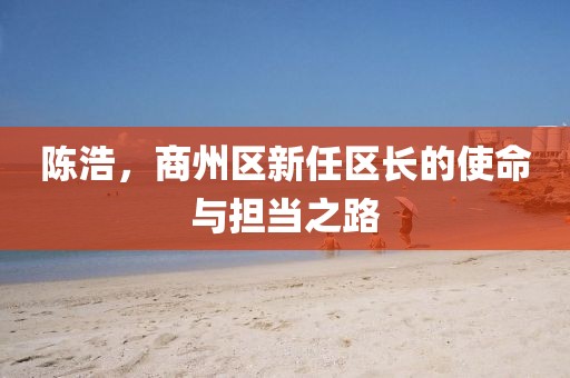 陳浩，商州區(qū)新任區(qū)長的使命與擔當之路