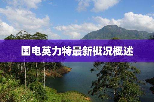 國電英力特最新概況概述