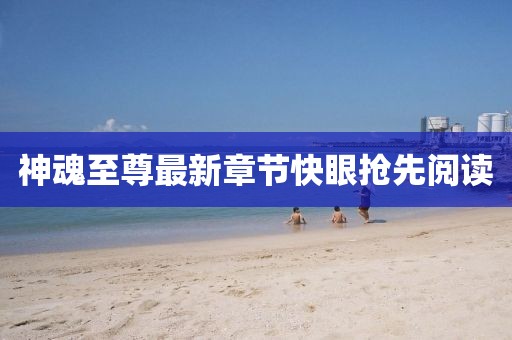 神魂至尊最新章節(jié)快眼搶先閱讀