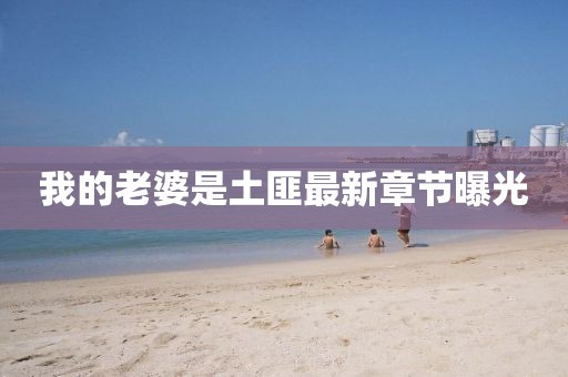 我的老婆是土匪最新章節(jié)曝光