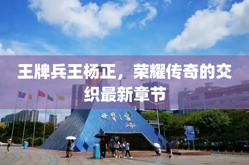 王牌兵王楊正，榮耀傳奇的交織最新章節(jié)