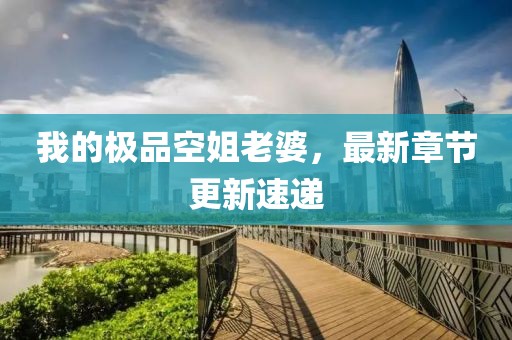 我的極品空姐老婆，最新章節(jié)更新速遞