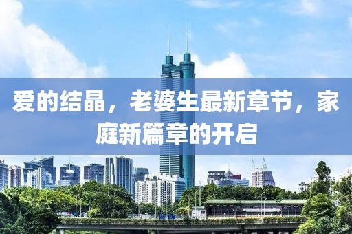 愛的結(jié)晶，老婆生最新章節(jié)，家庭新篇章的開啟