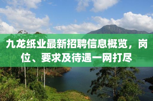 九龍紙業(yè)最新招聘信息概覽，崗位、要求及待遇一網打盡