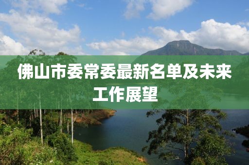 佛山市委常委最新名單及未來工作展望