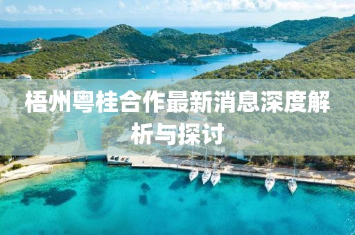 梧州粵桂合作最新消息深度解析與探討