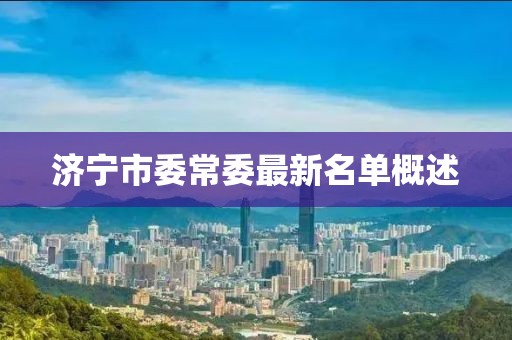 濟寧市委常委最新名單概述
