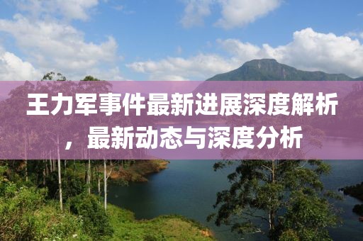 王力軍事件最新進展深度解析，最新動態(tài)與深度分析