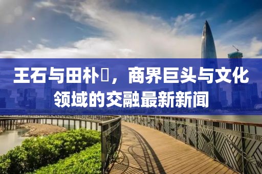 王石與田樸琤，商界巨頭與文化領(lǐng)域的交融最新新聞