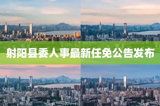 射陽縣委人事最新任免公告發(fā)布