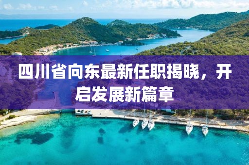 四川省向東最新任職揭曉，開(kāi)啟發(fā)展新篇章