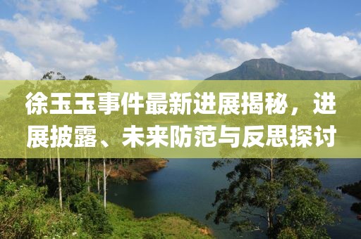 徐玉玉事件最新進(jìn)展揭秘，進(jìn)展披露、未來防范與反思探討