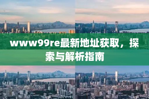 www99re最新地址獲取，探索與解析指南