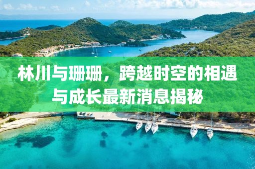 林川與珊珊，跨越時(shí)空的相遇與成長(zhǎng)最新消息揭秘