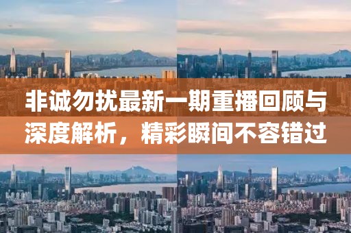 非誠(chéng)勿擾最新一期重播回顧與深度解析，精彩瞬間不容錯(cuò)過(guò)