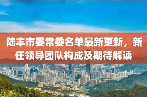 陸豐市委常委名單最新更新，新任領(lǐng)導(dǎo)團(tuán)隊(duì)構(gòu)成及期待解讀