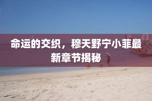 命運(yùn)的交織，穆天野寧小菲最新章節(jié)揭秘