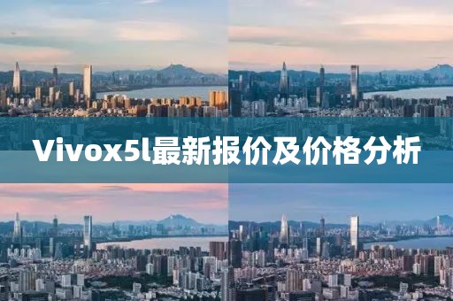 Vivox5l最新報價及價格分析